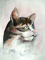 Aquarelle et Technique (synth�se soustractive)