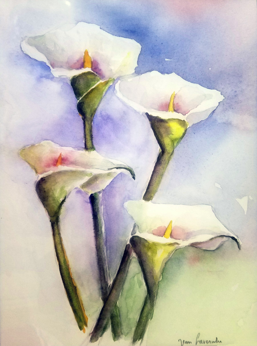 Elégance et beauté : l'arum - Aquarelle de J. Lavernhe Elégance et beauté : l'arum