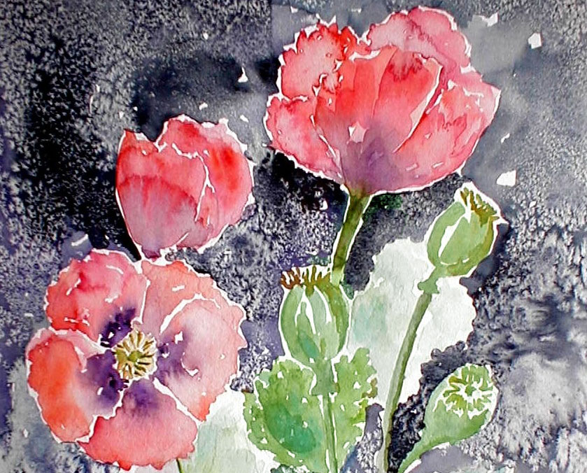 Les coquelicots - Aquarelle de J. Lavernhe