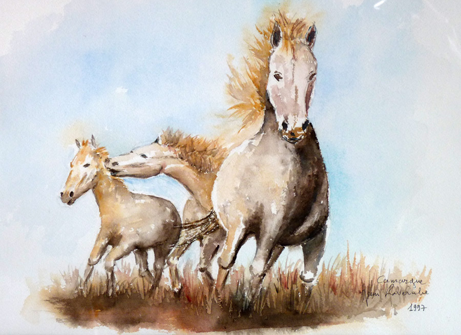 Chevaux de Carmargue en liberté - Aquarelle de J. Lavernhe Chevaux de Carmargue en liberté