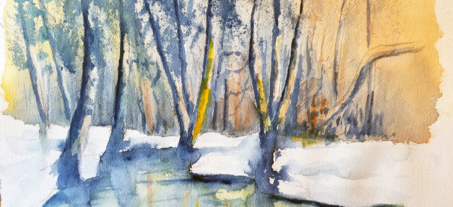 Forêt sous le soleil hivernal