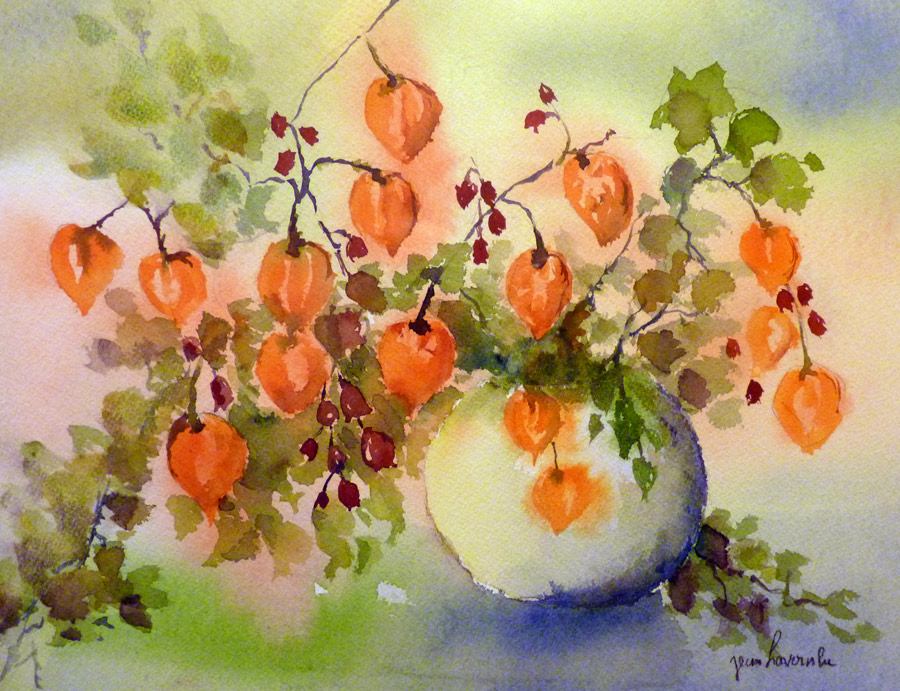 Les Physalis - Aquarelle de J. Lavernhe Les Physalis