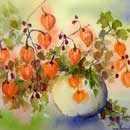 Aquarelle :Les physalis