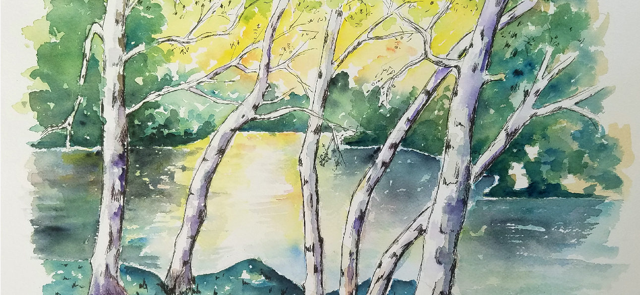 Les bouleaux se réveillent - Aquarelle de Jean Lavernhe