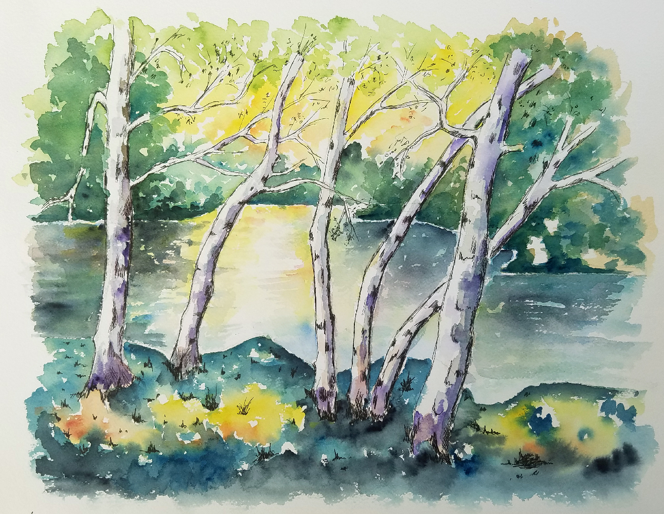 Les bouleaux se réveillent - Aquarelle de J. Lavernhe Couleurs de Provence
