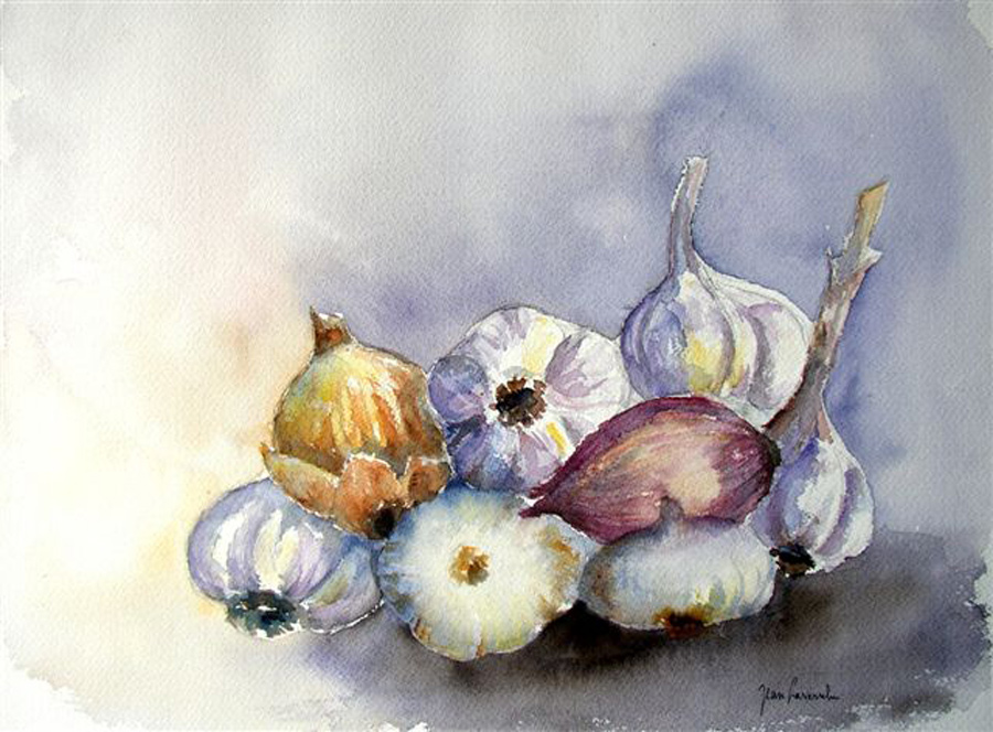 Ail commun Ail commun - Aquarelle de Jean Lavernhe