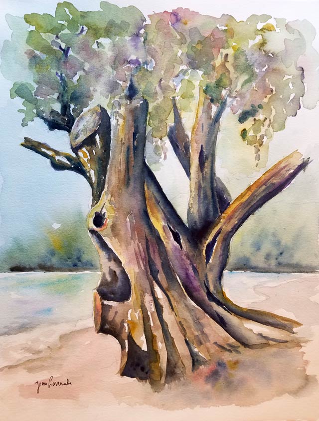Les tournesols Les tournesols - Aquarelle de Jean Lavernhe