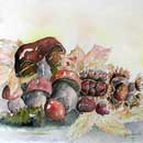 Aquarelle : Fruits d'automne - Chansons et Mp3