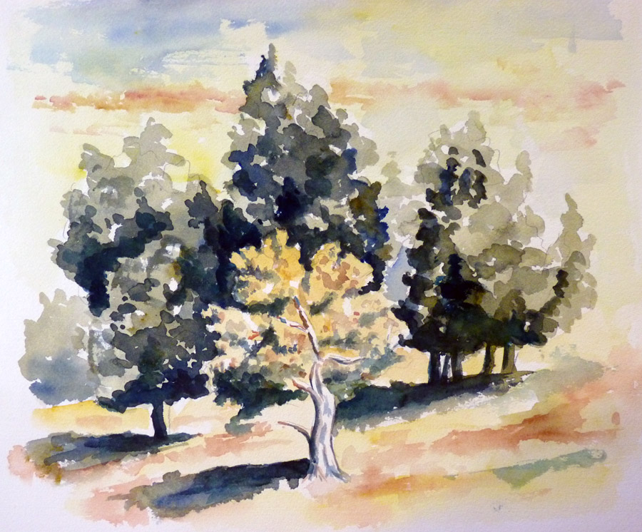 Le bosquet d'arbres en Provence Le bosquet d'arbres en Provence - Aquarelle de J. Lavernhe