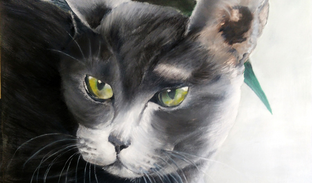 Le chat... selon Micha! Le chat
