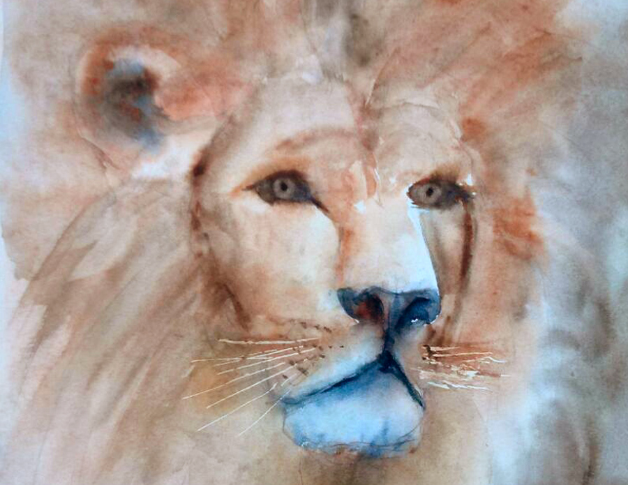 Majestueux et tranquille, le lion d'Afrique : Aquarelle de Jean LAVERNHE Majestueux et tranquille, le lion d'Afrique