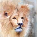 Aquarelle : Le Lion