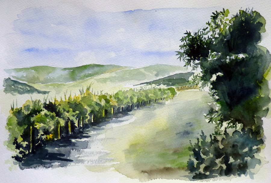 Les vignes de Provence Les vignes de Provence - Aquarelle de J. Lavernhe