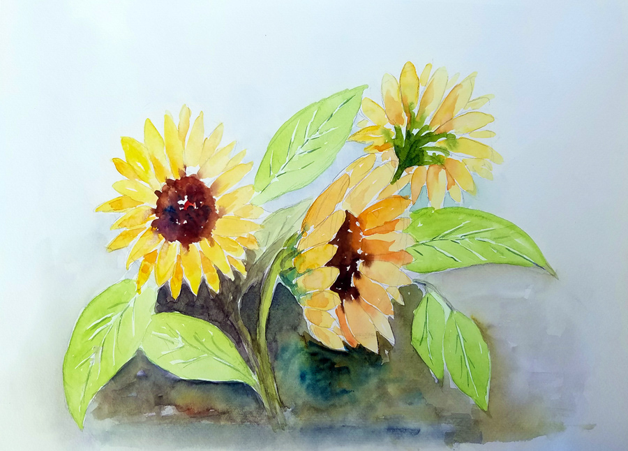 Les soleils Les soleils - Aquarelle de J. Lavernhe