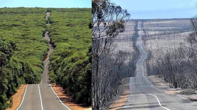 Feux en Australie